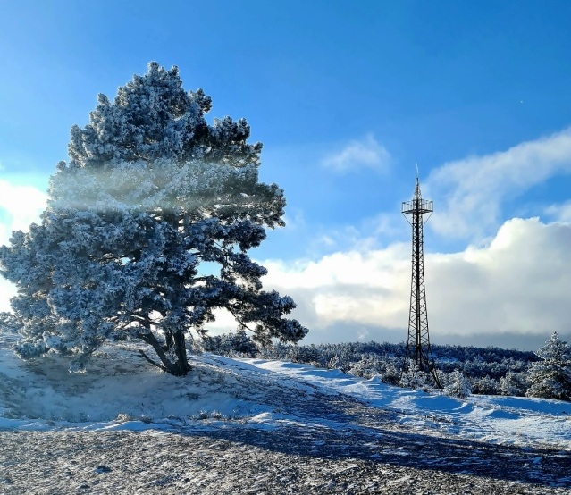 В Крыму из-за штормового предупреждения перекрыли дорогу на Ай-Петри