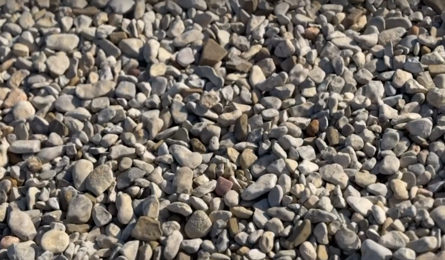 В Евпатории главу фирмы уличили в афере на 172 миллиона при реконструкции набережной и сквера