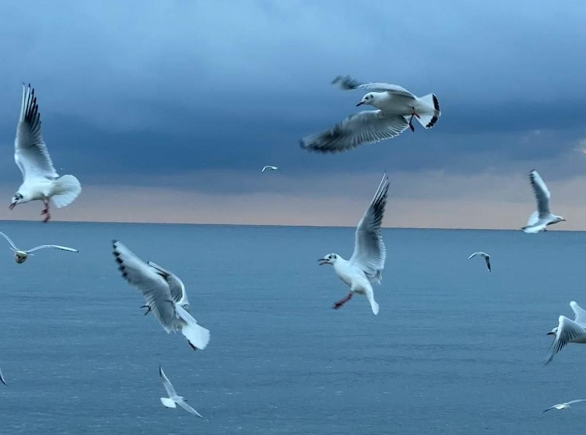 В Крыму и Севастополе 4 февраля немного потеплеет, до +6 градусов