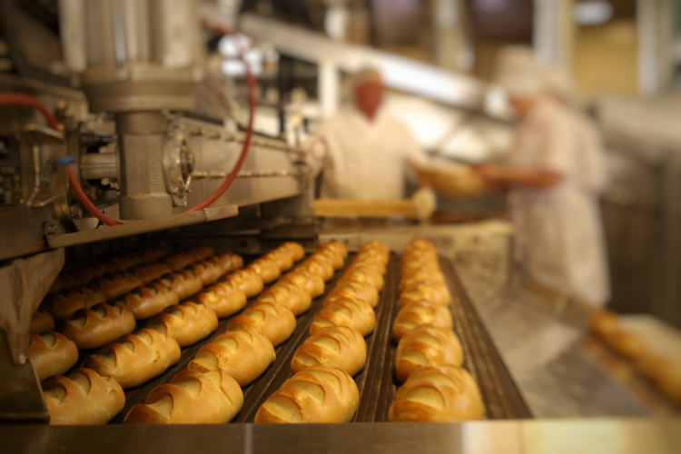 В Севастополе на поддержку пищевых предприятий в 2026 году выделено 40 миллионов рублей