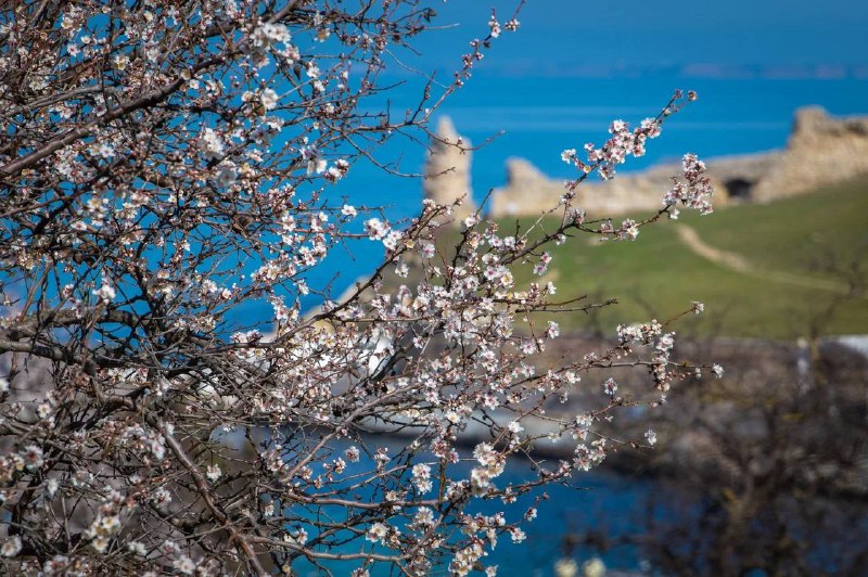В Крыму и Севастополе 4 марта ожидается до +7 градусов