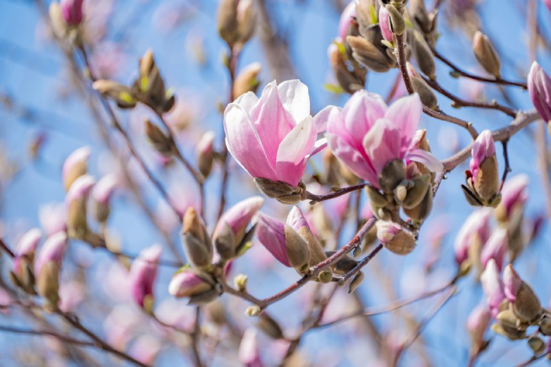 В Крыму и Севастополе 20 марта сохранится прохладная ветреная погода