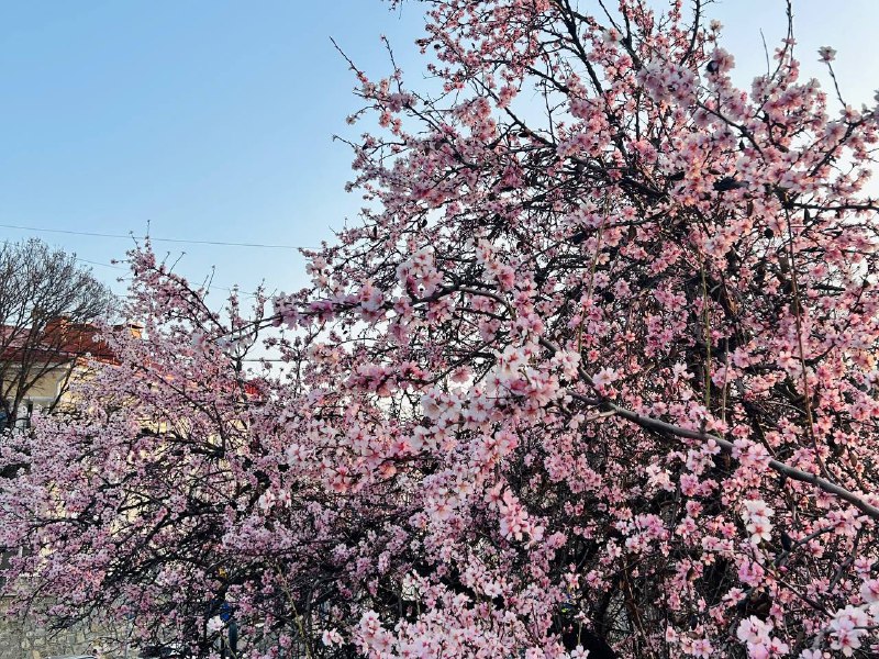 В Крыму и Севастополе 19 марта ожидается ветреная погода