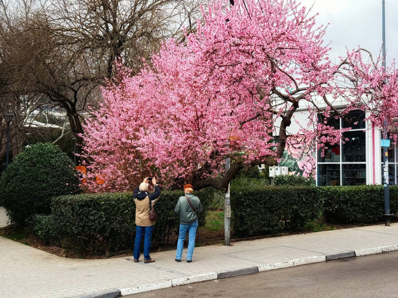 В Крыму 27 марта преимущественно без осадков, до +18, в Севастополе — прохладнее