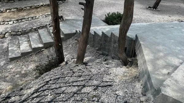 Прокуратура Севастополя добилась возмещения ущерба за спиленные деревья в заказнике «Ласпи»