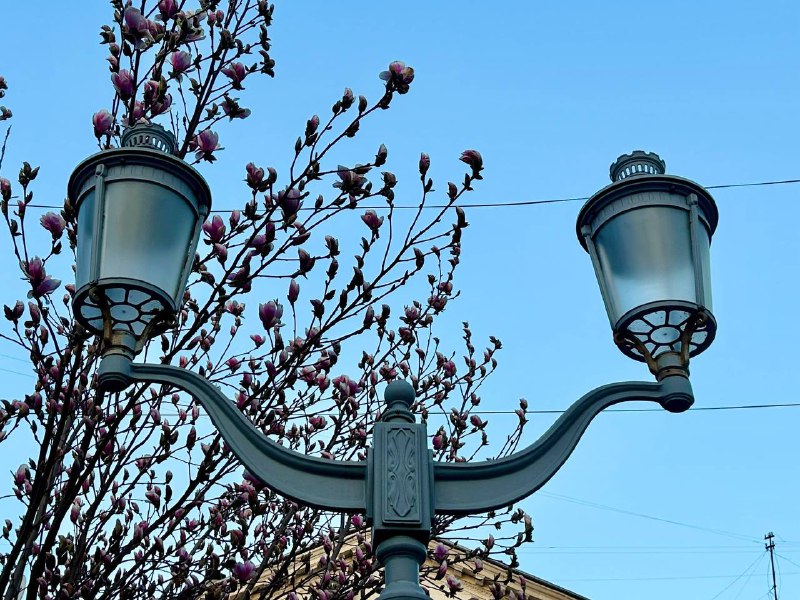 Четыре садовых товарищества и улица Сапунгорская в Севастополе будут обесточены 12 апреля