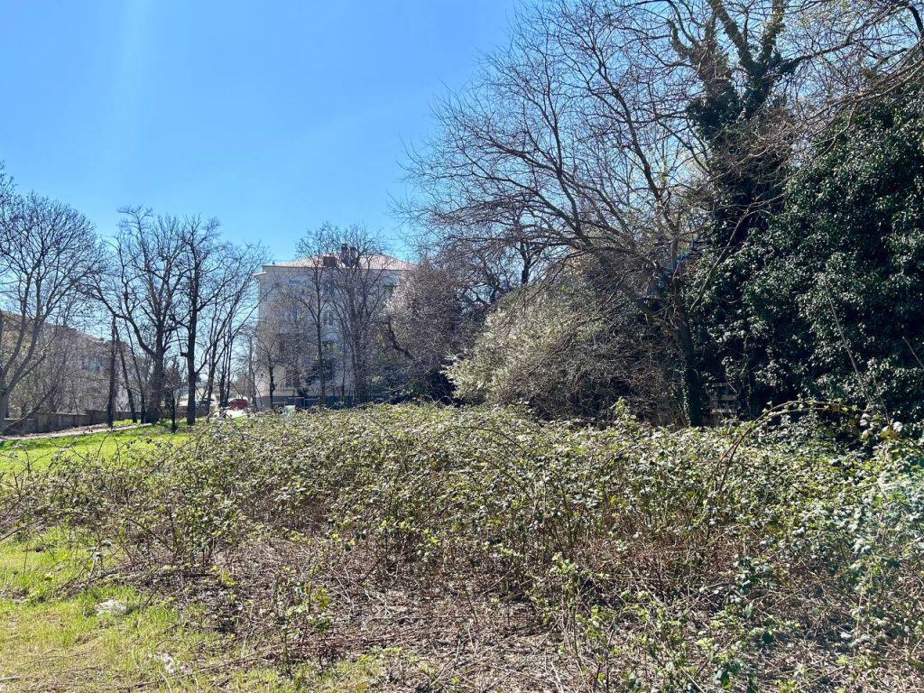 АО «Севастопольстройпроект»: весь в исках и контрактах