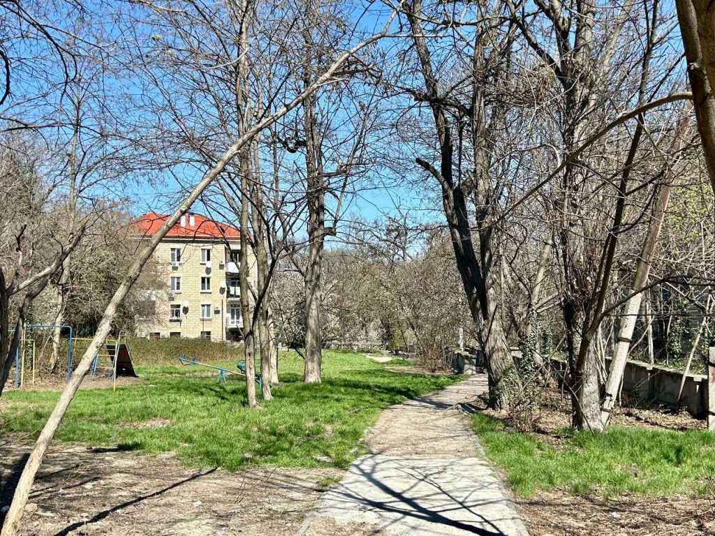 АО «Севастопольстройпроект»: весь в исках и контрактах