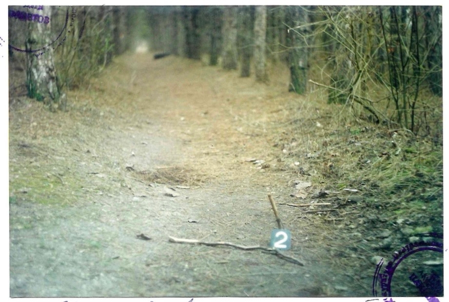 Вывез в багажнике в лес: жителя Ялты осудят по обвинению в убийстве 26-летней давности