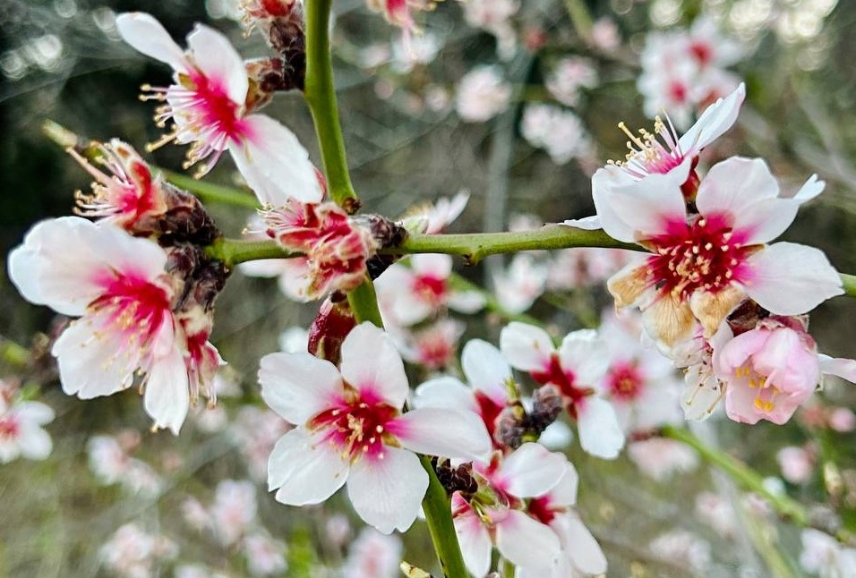 В Крыму и Севастополе 5 апреля ожидается до +18 градусов