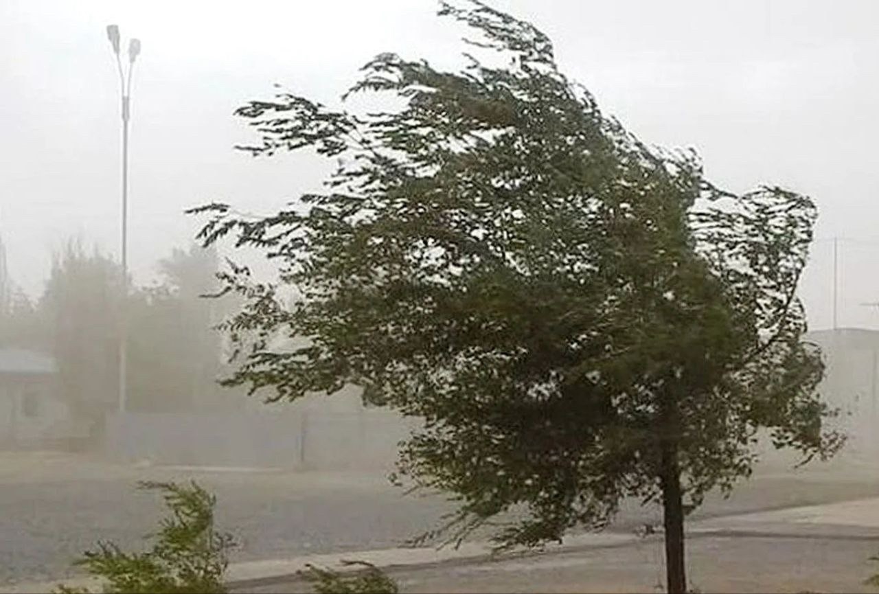 В выходные в Крыму продолжит бушевать штормовой ветер