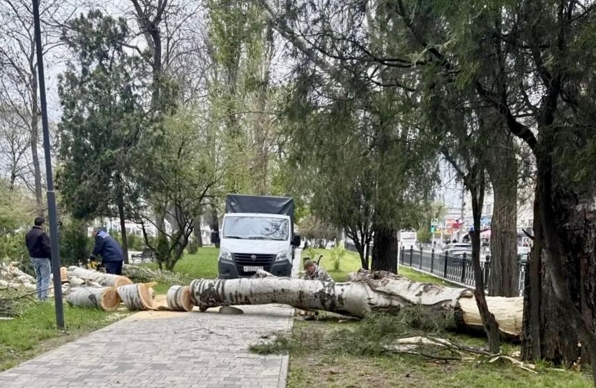 В Симферополе ликвидируют последствия урагана: поступило 29 заявок от жителей