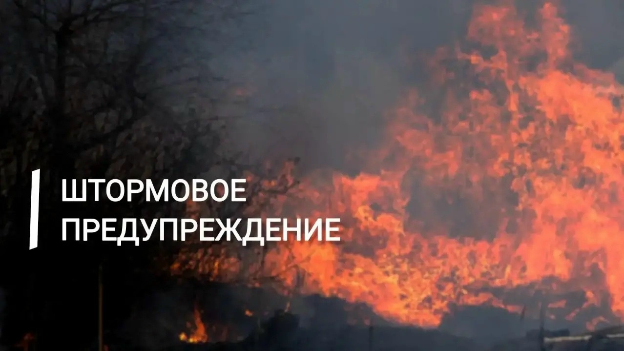В Крыму и Севастополе продлили предупреждение из-за чрезвычайной пожарной опасности