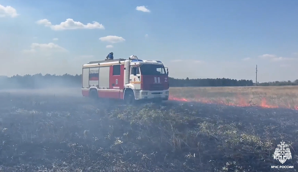 Под Симферополем из-за горящего автомобиля огонь охватил 50 гектаров ландшафта