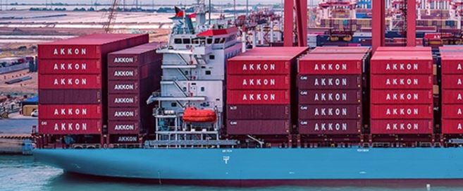 Турецкая контейнерная компания приостановила заходы в Новороссийск