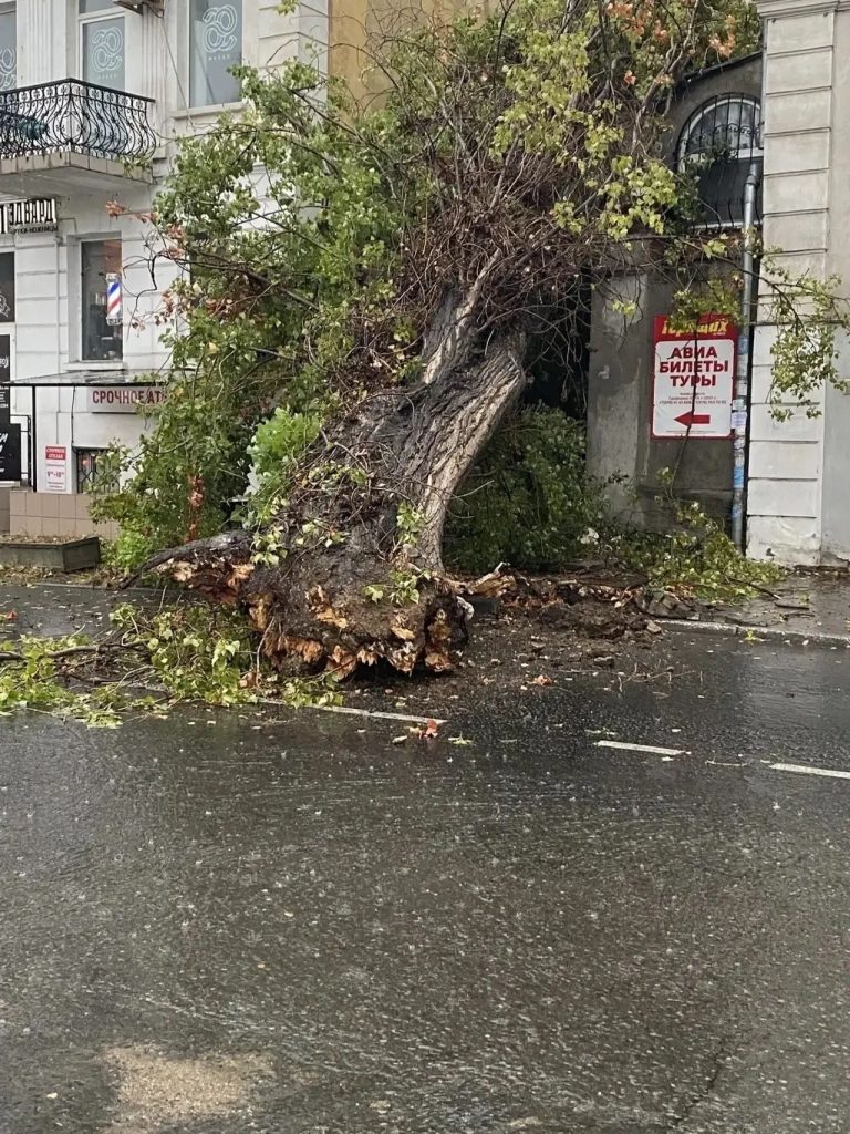 Дороги ушли под воду: на Севастополь обрушился мощный ливень (фото) - Форпост Севастополь — фото 4