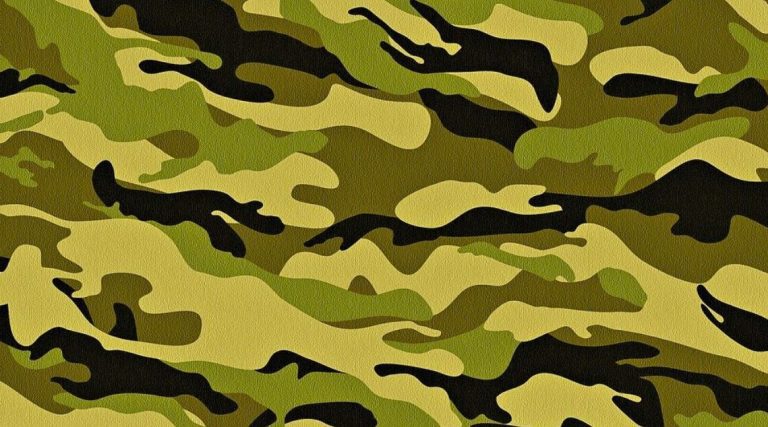 В Белоруссии будут созданы более тысячи отрядов народного ополчения