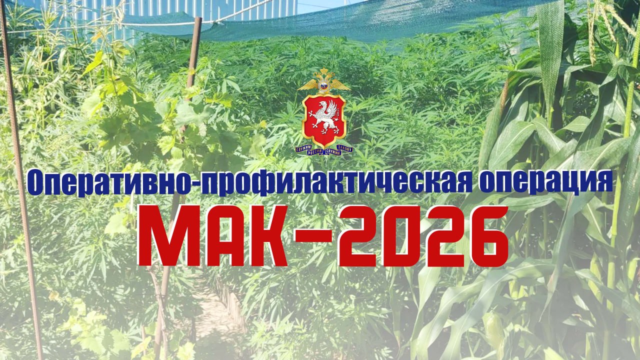 В Севастополе в ходе рейда изъяли более пяти кг наркотиков