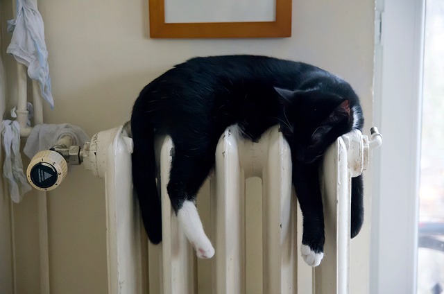 Объекты теплоснабжения Крыма к 15 октября будут готовы к холодам, на их подготовку потрачен 1 млрд руб.