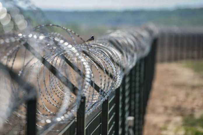 Группа вооруженных людей попыталась проникнуть в Латвию со стороны Белоруссии