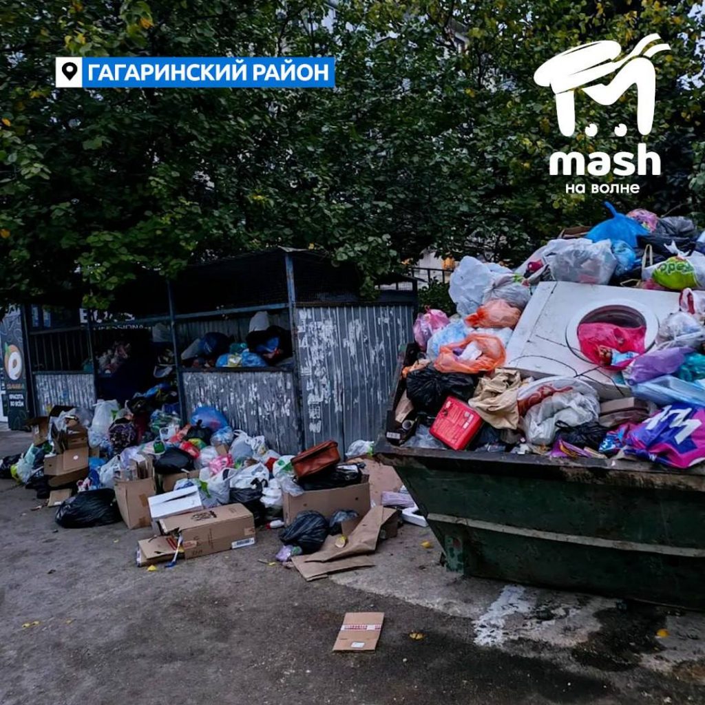 Севастопольцы жалуются на переполненные мусорные контейнеры - Форпост Севастополь