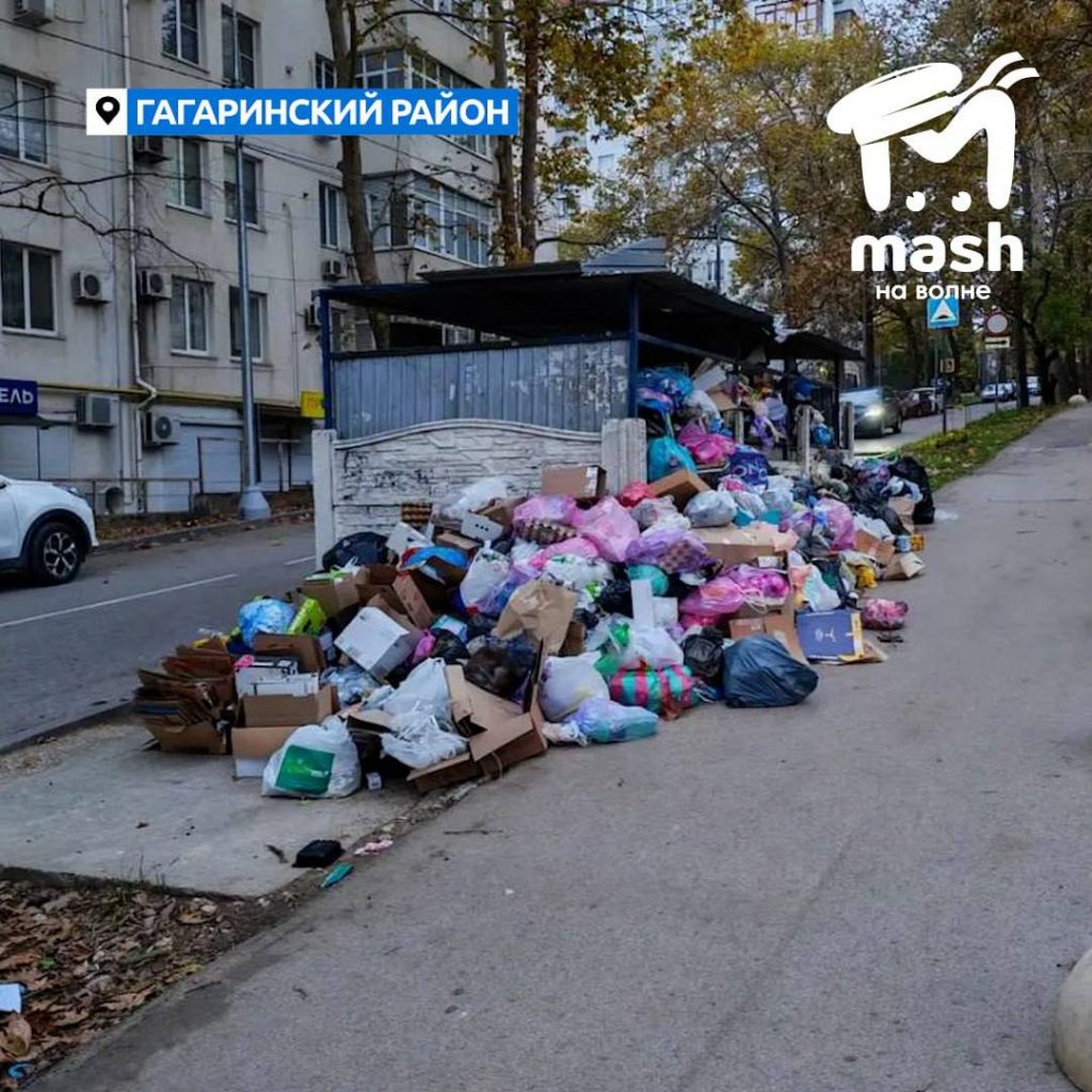 Севастопольцы жалуются на переполненные мусорные контейнеры - Форпост Севастополь — фото 3